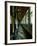 Old Train-Nathan Wright-Framed Photographic Print