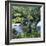 Old Tree Growing over Stream-Micha Pawlitzki-Framed Photographic Print