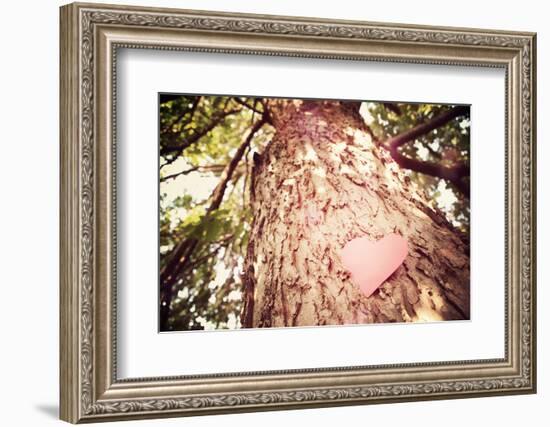Old Tree with a Heart Shaped Note. Instagram Effect-soupstock-Framed Photographic Print