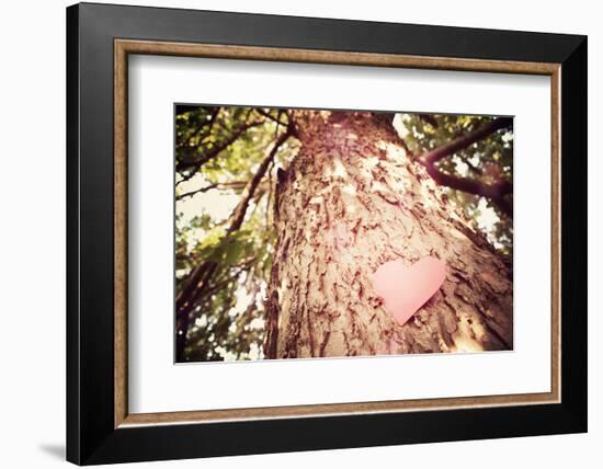 Old Tree with a Heart Shaped Note. Instagram Effect-soupstock-Framed Photographic Print