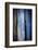 Old Trees-Ursula Abresch-Framed Photographic Print