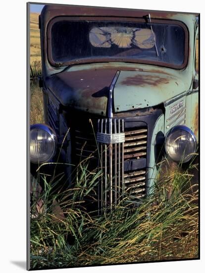 Old Truck in Field, Gennesse, Idaho, USA-Darrell Gulin-Mounted Photographic Print