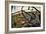 Old Truck IV-Kathy Mahan-Framed Photographic Print