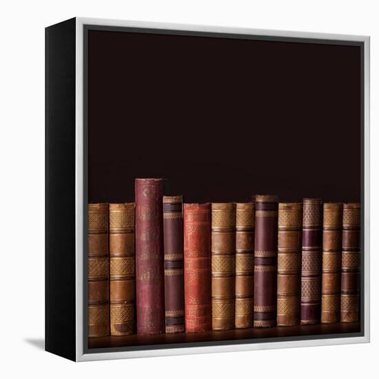 Old Vintage Books Standing in a Row-egal-Framed Premier Image Canvas