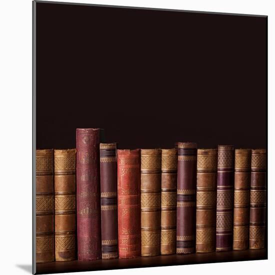 Old Vintage Books Standing in a Row-egal-Mounted Photographic Print