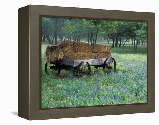 Old Wagon and Wildflowers, Devine, Texas, USA-Darrell Gulin-Framed Premier Image Canvas