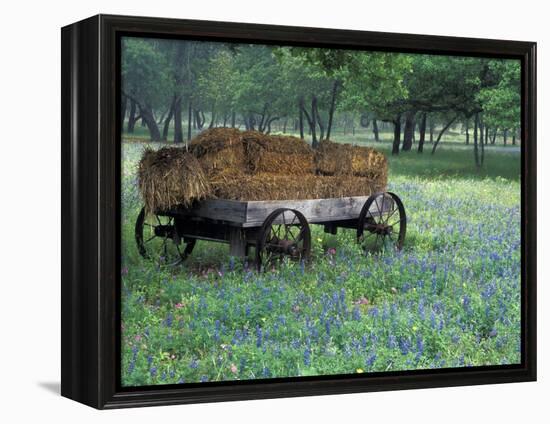 Old Wagon and Wildflowers, Devine, Texas, USA-Darrell Gulin-Framed Premier Image Canvas