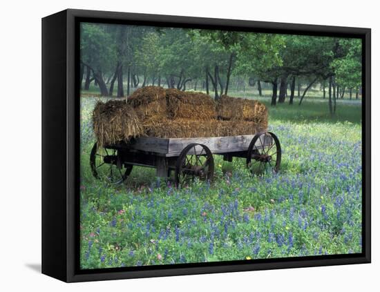 Old Wagon and Wildflowers, Devine, Texas, USA-Darrell Gulin-Framed Premier Image Canvas