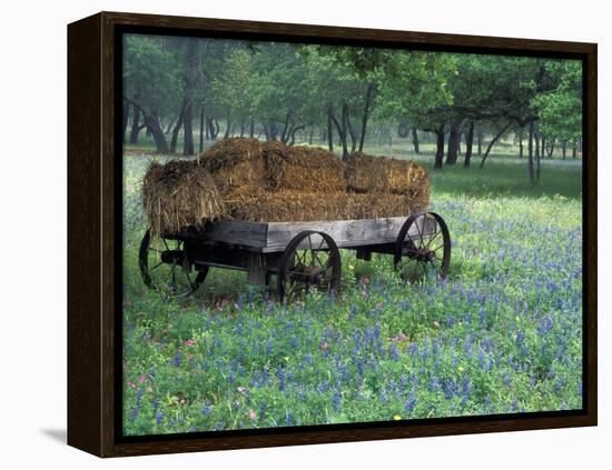 Old Wagon and Wildflowers, Devine, Texas, USA-Darrell Gulin-Framed Premier Image Canvas