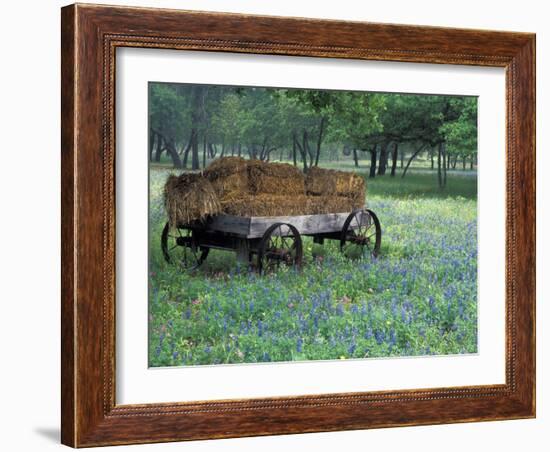 Old Wagon and Wildflowers, Devine, Texas, USA-Darrell Gulin-Framed Premium Photographic Print