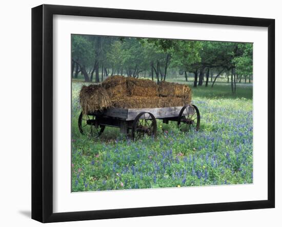 Old Wagon and Wildflowers, Devine, Texas, USA-Darrell Gulin-Framed Premium Photographic Print