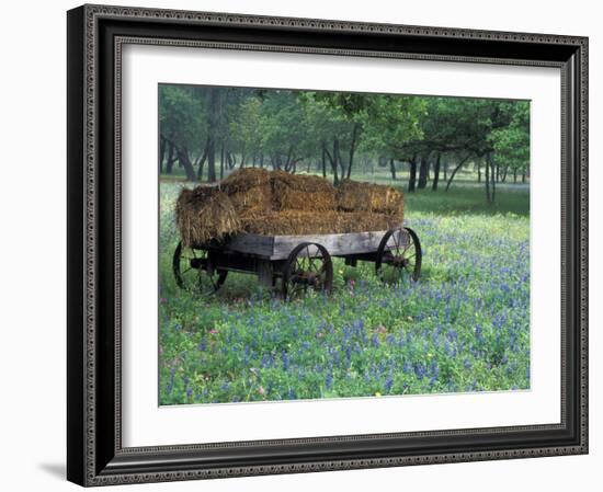 Old Wagon and Wildflowers, Devine, Texas, USA-Darrell Gulin-Framed Premium Photographic Print