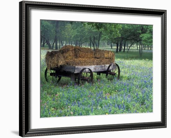 Old Wagon and Wildflowers, Devine, Texas, USA-Darrell Gulin-Framed Photographic Print