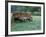 Old Wagon and Wildflowers, Devine, Texas, USA-Darrell Gulin-Framed Photographic Print