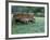 Old Wagon and Wildflowers, Devine, Texas, USA-Darrell Gulin-Framed Photographic Print