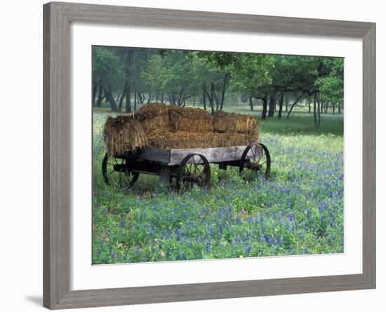 Old Wagon and Wildflowers, Devine, Texas, USA-Darrell Gulin-Framed Photographic Print