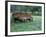 Old Wagon and Wildflowers, Devine, Texas, USA-Darrell Gulin-Framed Photographic Print