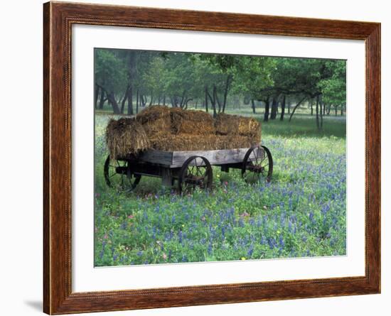 Old Wagon and Wildflowers, Devine, Texas, USA-Darrell Gulin-Framed Photographic Print