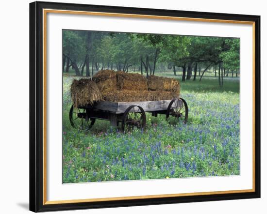 Old Wagon and Wildflowers, Devine, Texas, USA-Darrell Gulin-Framed Photographic Print