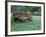 Old Wagon and Wildflowers, Devine, Texas, USA-Darrell Gulin-Framed Photographic Print