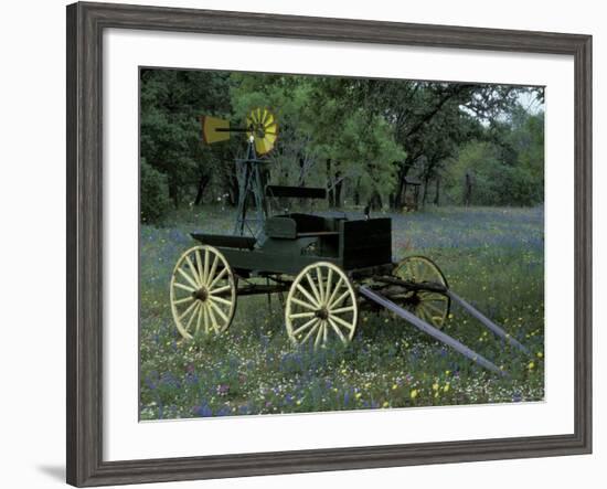 Old Wagon and Wildflowers, Devine, Texas, USA-Darrell Gulin-Framed Photographic Print