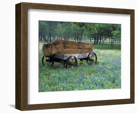 Old Wagon and Wildflowers, Devine, Texas, USA-Darrell Gulin-Framed Photographic Print