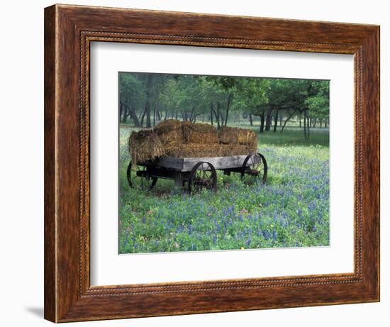 Old Wagon and Wildflowers, Devine, Texas, USA-Darrell Gulin-Framed Photographic Print