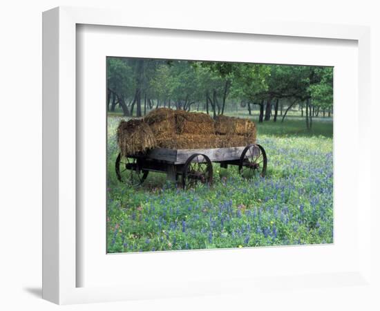 Old Wagon and Wildflowers, Devine, Texas, USA-Darrell Gulin-Framed Photographic Print