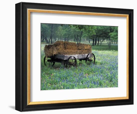 Old Wagon and Wildflowers, Devine, Texas, USA-Darrell Gulin-Framed Photographic Print