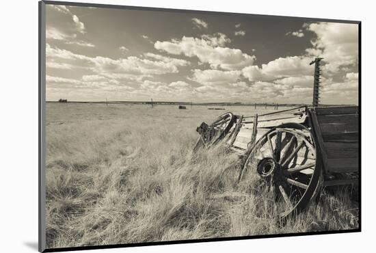 Old Wagon, Prairie Homestead, Cactus Flat, South Dakota, USA-Walter Bibikow-Mounted Photographic Print