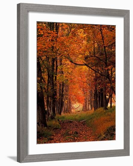 Old Wagon Road from Cades Cove, Tennessee, USA-Adam Jones-Framed Photographic Print