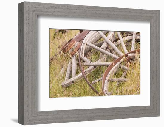 Old Wagon Wheels in Grass, Fort Steele, British Columbia, Canada-Jaynes Gallery-Framed Photographic Print