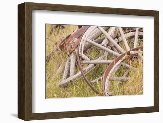 Old Wagon Wheels in Grass, Fort Steele, British Columbia, Canada-Jaynes Gallery-Framed Photographic Print