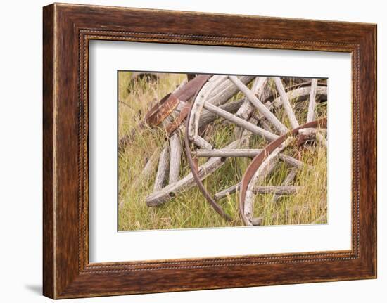 Old Wagon Wheels in Grass, Fort Steele, British Columbia, Canada-Jaynes Gallery-Framed Photographic Print