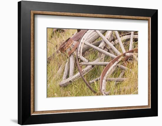 Old Wagon Wheels in Grass, Fort Steele, British Columbia, Canada-Jaynes Gallery-Framed Photographic Print