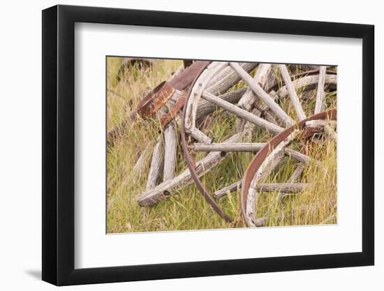 Old Wagon Wheels in Grass, Fort Steele, British Columbia, Canada-Jaynes Gallery-Framed Photographic Print