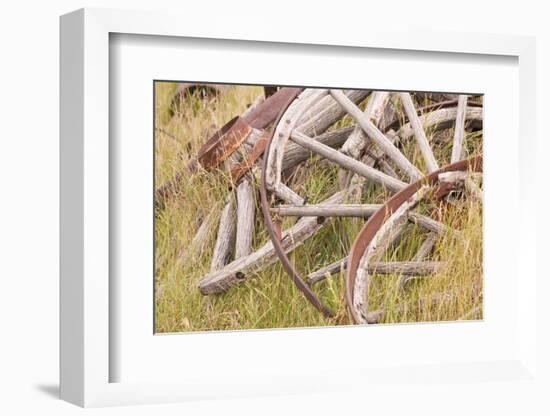 Old Wagon Wheels in Grass, Fort Steele, British Columbia, Canada-Jaynes Gallery-Framed Photographic Print