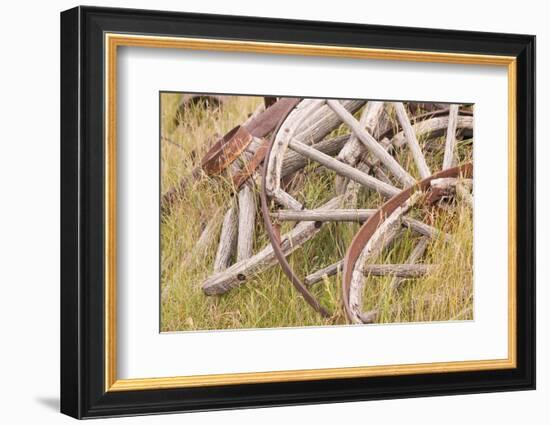Old Wagon Wheels in Grass, Fort Steele, British Columbia, Canada-Jaynes Gallery-Framed Photographic Print