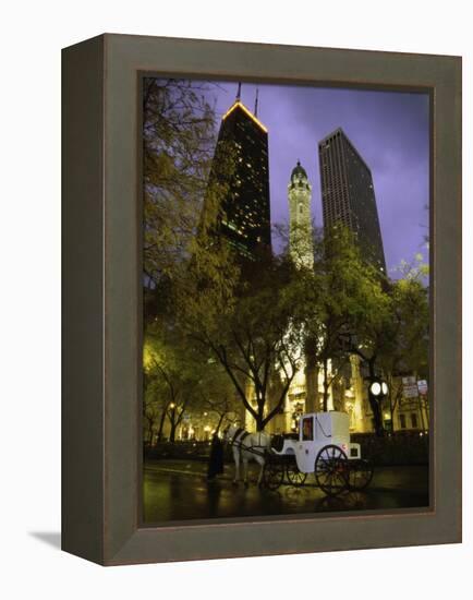 Old Water Tower, Chicago, Illinois, USA-null-Framed Premier Image Canvas