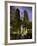 Old Water Tower, Chicago, Illinois, USA-null-Framed Photographic Print