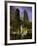 Old Water Tower, Chicago, Illinois, USA-null-Framed Photographic Print