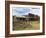 Old Western Wagons from the Pioneering Days of the Wild West at Cody, Montana, USA-Neale Clarke-Framed Photographic Print