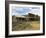 Old Western Wagons from the Pioneering Days of the Wild West at Cody, Montana, USA-Neale Clarke-Framed Photographic Print