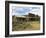 Old Western Wagons from the Pioneering Days of the Wild West at Cody, Montana, USA-Neale Clarke-Framed Photographic Print