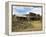 Old Western Wagons from the Pioneering Days of the Wild West at Cody, Montana, USA-Neale Clarke-Framed Premier Image Canvas