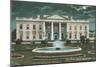 Old White House Illustration-null-Mounted Art Print