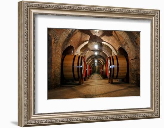 Old Wine Barrels in the Vault of Winery-Dmitriy Yakovlev-Framed Photographic Print