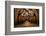 Old Wine Barrels in the Vault of Winery-Dmitriy Yakovlev-Framed Photographic Print