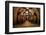 Old Wine Barrels in the Vault of Winery-Dmitriy Yakovlev-Framed Photographic Print