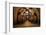 Old Wine Barrels in the Vault of Winery-Dmitriy Yakovlev-Framed Photographic Print